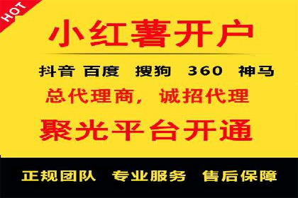 搜索引擎营销（SEM）的投放策略与效果评估——以某行业领先企业的案例分析